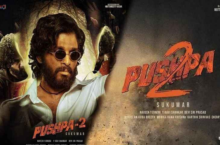 खतरे में पड़ी Allu Arjun की बिग बजट फिल्म Pushpa 2, इस खास शाख्सने फिल्म से खुद को किया साइड लाइन 