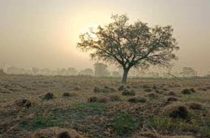 राजस्थान में मौसम का डबल अटैक: कहीं हीटवेव, वीडियो में देंखे कहीं आंधी-बारिश का अलर्ट; श्रीगंगानगर सबसे गर्म, अलवर में हादसे में महिला की मौत