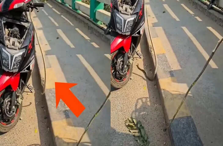 यूपी के मऊ में स्कूटी से अचानक सांप निकला, चालक की सूझबूझ से टला बड़ा हादसा
