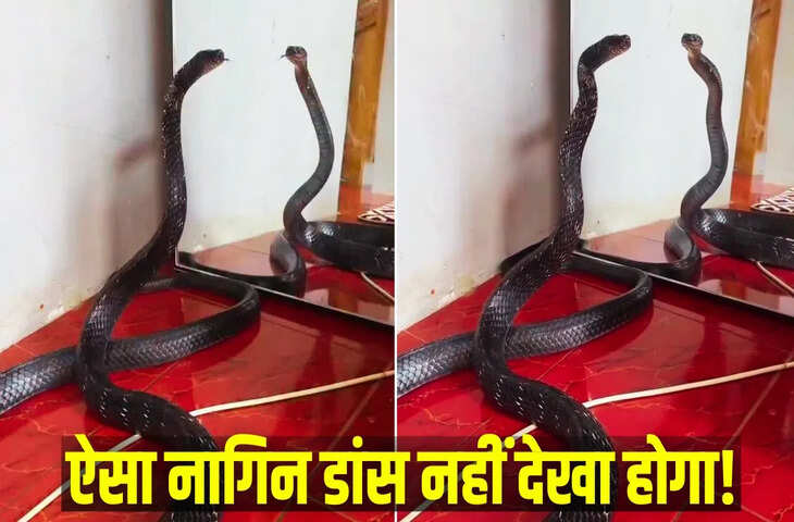 काली नागिन का शीशे के सामने डांस, देखकर लोग रह गए हैरान