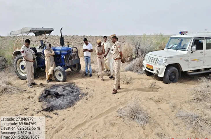 जैसलमेर में कैरेकल बिल्ली जलाकर मारने का मामला, तीन आरोपी गिरफ्तार