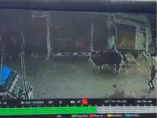 मुरैना में शराब ठेकेदार के घर 6 राउंड फायरिंग, CCTV में कैद हुए बाइक सवार बदमाश