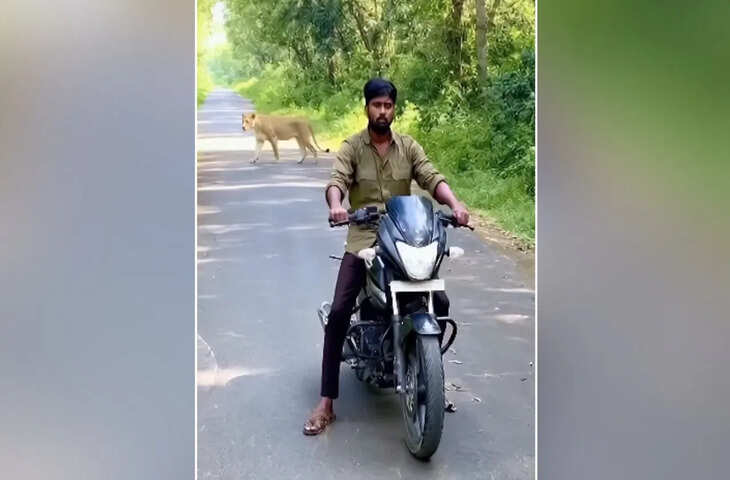 अकेले बाइकर के सामने आ गई दो शेरनी, फिर जो हुआ वो शॉकिंग है