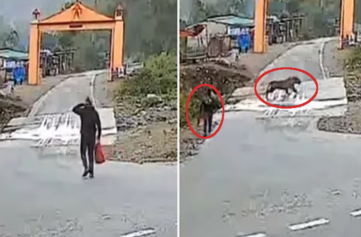 शख्स के बिल्कुल पास से गुजर गई मौत, देखें दिल दहला देने वाला Video