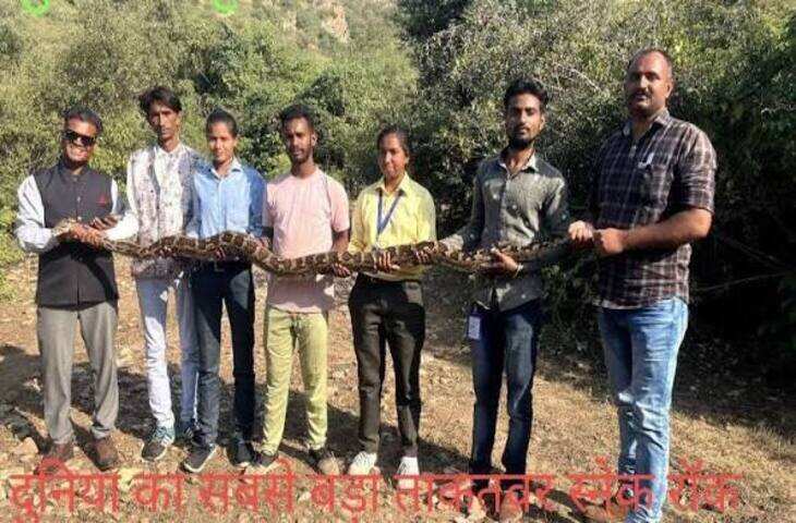 अजमेर में मिला दुर्लभ हिमालयन ग्रिफन गिद्ध, फुटेज में देंखे घायल हालत में खेत से रेस्क्यू; जयपुर किया गया रेफर