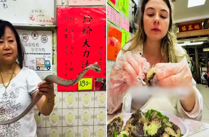 सोशल मीडिया पर वायरल: हांगकांग के रेस्टोरेंट में कोबरा परोसा जाता