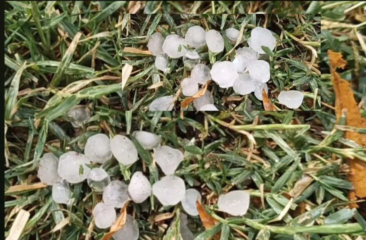 राजस्थान में पश्चिमी विक्षोभ का असर, कई जिलों में आंधी-बारिश और ओलावृष्टि से जनजीवन प्रभावित