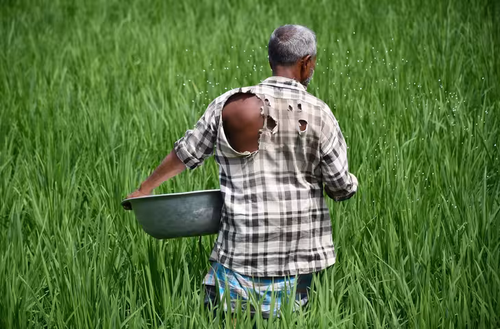 पीएम किसान सम्मान निधि के 32 लाख लाभुकों का नहीं बना पहचान पत्र, 85.53 लाख किसानों का होना है सत्यापन