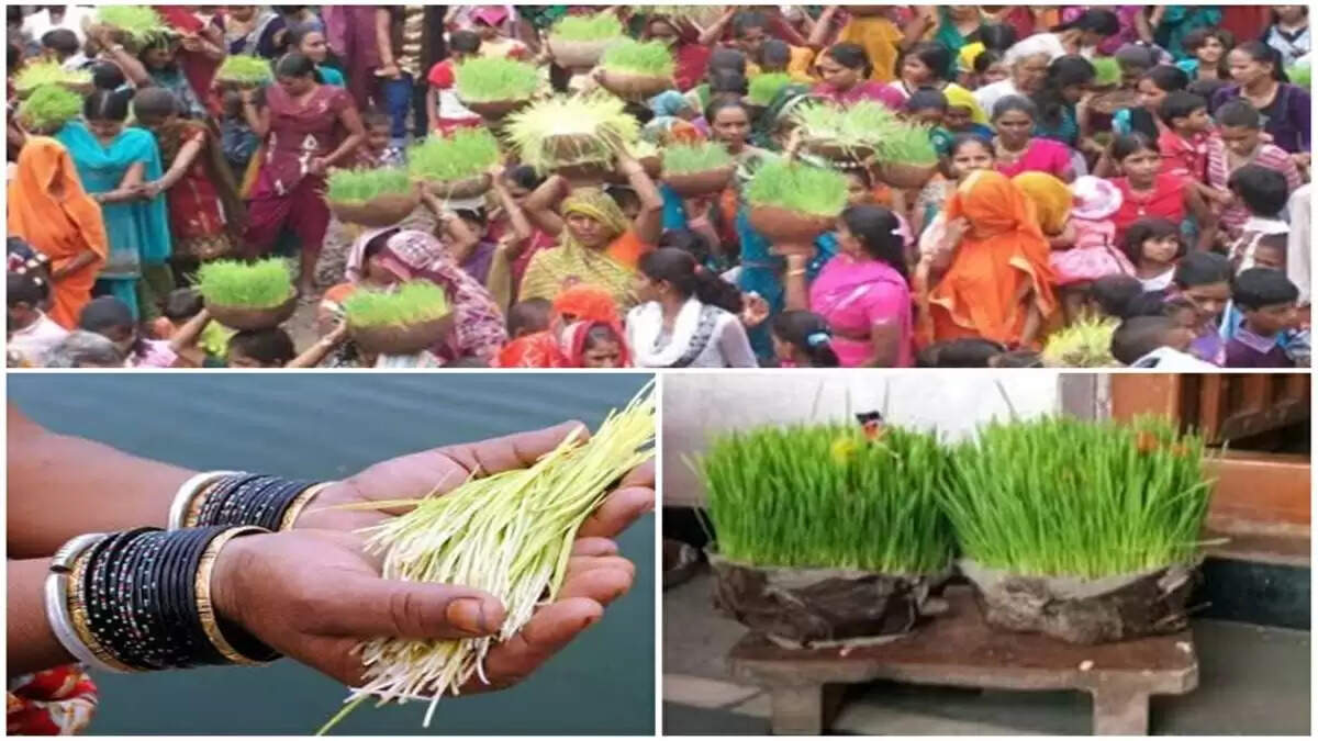 bhujariya festival 2022 on 12 august bhujariyab festival will be celebrated today know importance and significance