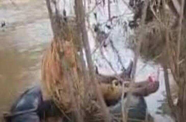 मुरैना: कैलारस के मकूंदा में सोन नदी का रपटा डूबा, घायल महिला को खाट-ट्यूब के सहारे उफनती नदी पार कर अस्पताल पहुंचाया