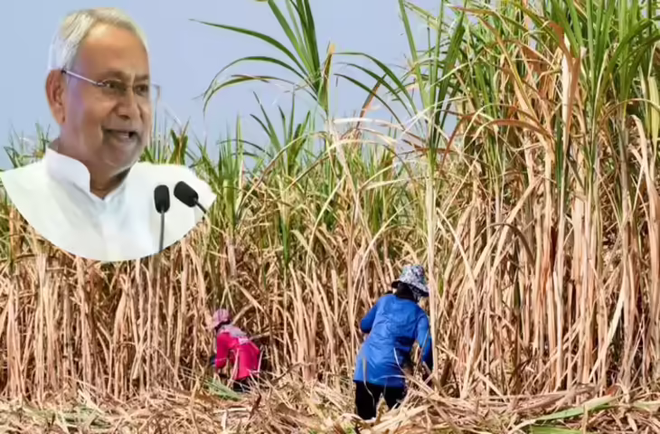 मकर संक्रांति से पहले बिहार के गन्ना किसानों को राहत, गन्ने की कीमतों में 15 रुपये की बढ़ोतरी