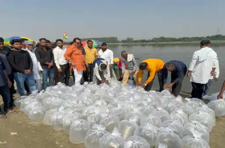 केंद्रीय मत्स्यपालन, पशुपालन एवं डेयरी तथा पंचायती राज राज्यमंत्री प्रो. एसपी सिंह बघेल ने मंगलवार को यमुना नदी में 50 हजार मछलियों को छोड़ा। पोइया घाट पर आयोजित रिवर रैंचिंग कार्यक्रम में उन्होंने भारतीय मेजर कार्प प्रजाति की मत्स्य अंगुलिकाओं को नदी में प्रवाहित किया।  यह कार्यक्रम यमुना की जैव विविधता को समृद्ध करने और मत्स्य संसाधनों के संरक्षण के लिए आयोजित किया गया था। कार्यक्रम के दौरान मत्स्य विभाग के अधिकारी, स्थानीय मछुआरे और बड़ी संख्या में लोग मौजूद रहे।  केंद्रीय मंत्री प्रो. एसपी सिंह बघेल यमुना में मछलियों को छोड़ते हुए केंद्रीय मंत्री प्रो. एसपी सिंह बघेल यमुना में मछलियों को छोड़ते हुए केंद्रीय मंत्री बघेल ने कहा कि यमुना हमारी आस्था, संस्कृति और जीवनधारा का अभिन्न हिस्सा है। इसका संरक्षण करना और इसे प्रदूषण मुक्त बनाना हम सभी की सामूहिक जिम्मेदारी है। उन्होंने कहा कि प्रधानमंत्री नरेंद्र मोदी के स्वच्छता और पर्यावरण संरक्षण के संकल्प तथा मुख्यमंत्री योगी आदित्यनाथ के मार्गदर्शन में नदियों को स्वच्छ, निर्मल और जीवंत बनाए रखने के लिए निरंतर प्रयास किए जा रहे हैं।  उन्होंने बताया कि रिवर रैंचिंग केवल मछलियों की संख्या बढ़ाने का कार्यक्रम नहीं है, बल्कि यह जलीय पारिस्थितिकी तंत्र का संतुलन बनाए रखने की दिशा में महत्वपूर्ण पहल है। इससे जैव विविधता का संरक्षण होगा और स्थानीय मत्स्यजीवियों की आजीविका भी मजबूत होगी। नदी में मछलियों की संख्या बढ़ने से पानी की गुणवत्ता में भी सुधार होता है और प्राकृतिक संतुलन बना रहता है।  मंत्री ने लोगों से अपील की कि वे यमुना को स्वच्छ रखने में सहयोग करें। कूड़ा-कचरा नदी में न डालें और आने वाली पीढ़ियों के लिए स्वच्छ, समृद्ध और जीवंत यमुना के संकल्प को मजबूत करें। उन्होंने कहा कि सरकार नदियों के संरक्षण के लिए कई योजनाएं चला रही है और मत्स्य पालन को बढ़ावा देने के लिए मछुआरों को सहायता भी दी जा रही है।  कार्यक्रम के अंत में उन्होंने घाट का निरीक्षण किया और अधिकारियों को यमुना संरक्षण से जुड़े कार्यों में तेजी लाने के निर्देश दिए।