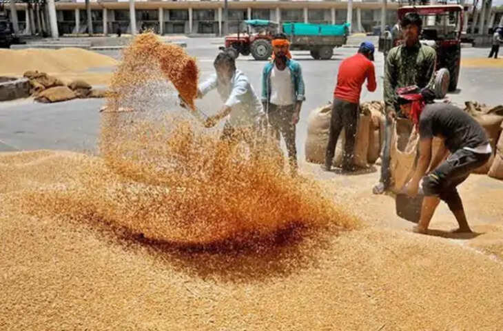 मप्र में 3 करोड़ से ज्यादा कारोबार वाली 110 मंडियां, 10 साल बाद होगी ग्रेडिंग; लाखों टन अनाज की होती है आवक