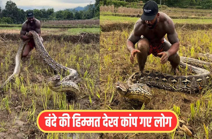 विशालकाय अजगर को पकड़ने की कोशिश कर रहा था शख्स! फिर उल्टा पड़ गया पूरा खेल, वीडियो देख काँप जाएंगे आप&nbsp;