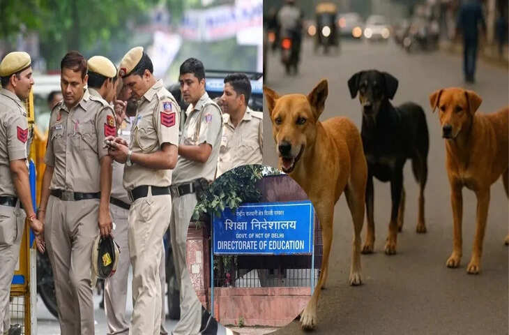 दिल्ली में आवारा कुत्तों का मामला अब गंभीर होता जा रहा है। दिल्ली शिक्षा निदेशालय ने इस पर एक्शन लिया है। उन्होंने सिविल लाइंस पुलिस स्टेशन में शिकायत दर्ज कराई है, जिसमें उन पर फेक न्यूज़ फैलाने का आरोप लगाया गया है। इस खबर को फैलाने वाले सोशल मीडिया हैंडल के खिलाफ एक्शन की मांग की गई है।  दिल्ली शिक्षा निदेशालय की डायरेक्टर वेदिता रेड्डी ने कहा कि आवारा कुत्तों की गिनती के बारे में टीचरों को कभी कोई निर्देश नहीं दिए गए। यह कोई साधारण राजनीतिक आलोचना नहीं है, बल्कि शिक्षा विभाग को बदनाम करने की एक सोची-समझी साजिश है। उनके खिलाफ कानूनी कार्रवाई की जाएगी। डायरेक्टर वेदिता रेड्डी ने कहा कि ऐसा कोई आदेश कभी जारी नहीं किया गया। कुछ सोशल मीडिया हैंडल ने इस मामले में फेक न्यूज़ फैलाई है।  आवारा कुत्तों के मामलों के लिए नोडल ऑफिसर की नियुक्ति दरअसल, शिक्षा निदेशालय की केयर विंग ने एक सर्कुलर जारी कर सभी स्कूलों, स्टेडियम और स्पोर्ट्स कॉम्प्लेक्स को आवारा कुत्तों के मामलों के लिए नोडल ऑफिसर नियुक्त करने और उनके नाम, पद, कॉन्टैक्ट नंबर और ईमेल एड्रेस जमा करने का निर्देश दिया था। सरकार ने कहा कि यह कदम पब्लिक सेफ्टी और सुप्रीम कोर्ट के 7 नवंबर, 2025 के ऑर्डर को मानने के लिए उठाया गया है। उस ऑर्डर में स्कूलों, अस्पतालों और पब्लिक जगहों से आवारा कुत्तों को हटाने और इस काम के लिए एक नोडल ऑफिसर अपॉइंट करने का निर्देश दिया गया था।