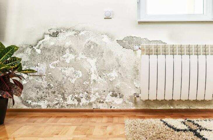 Wall Dampness: छत से पानी नहीं टपकता फिर भी दीवार पर आ रही सीलन? इन 7 जगहों पर छिपा हो सकता है कारण