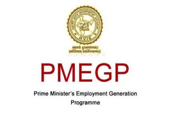 PMEGP योजना बनी युवाओं के लिए वरदान, सब्सिडी के जरिए लाखों लोगों को मिला रोजगार