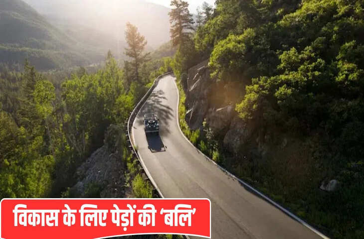 220 करोड़ लागत, काटे जाएंगे 1882 पेड़&hellip; अरावली के बाद अब चंपावत में बनने जा रहा 10KM बाईपास चर्चा में