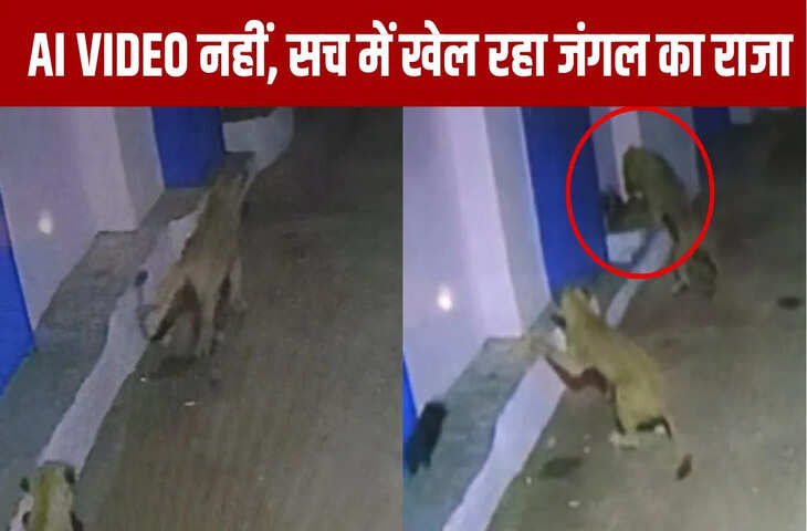 गुजरात में कुत्ते के पिल्लों के साथ खेलते मिले शेर, VIDEO देख नहीं होगा यकीन