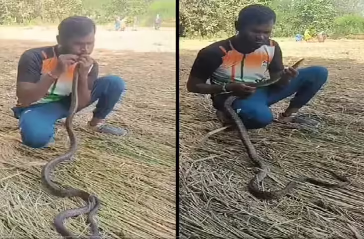 अरे बाबा! इंसान छोड़ो इस भाई ने तो जहरीले सांप को ही मुंह से दे डाला CPR ट्रीटमेंट, VIDEO देख उड़ जाएंगे तोते 