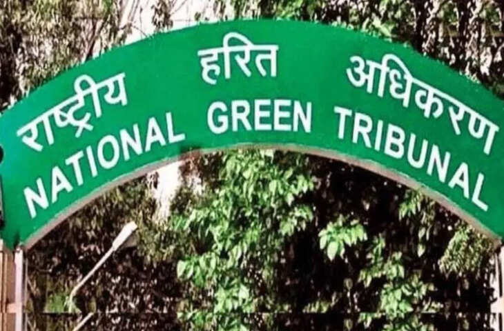 दिल्ली में सी-डॉट परिसर में अवैध निर्माण पर एनजीटी का संज्ञान, 10 दिन में रिपोर्ट तलब