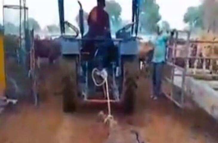 वीडियो में देखें कोटा में अमानवीय घटना, गाय के शव को ट्रैक्टर से बांधकर घसीटा, वीडियो वायरल होने पर बवाल