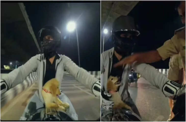 चालान काटने के लिए रोका, लेकिन जैकेट में छिपे नन्हे Puppy को देखकर पिघल गया पटना पुलिस का दिल; VIDEO वायरल