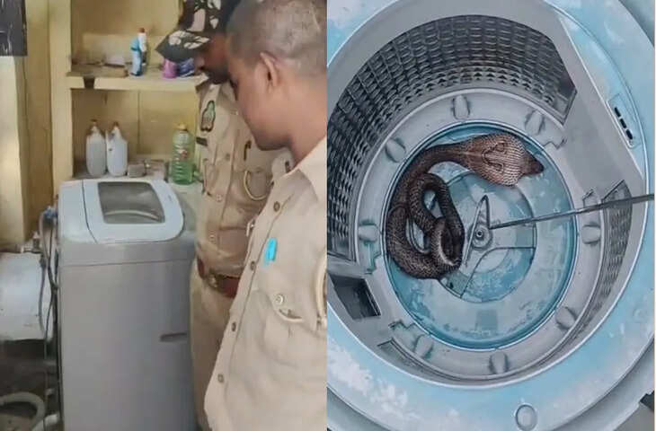 जज के घर पर वाशिंग मशीन में छिपा था कोबरा, मिस्त्री ने खोली मशीन तो मचा हड़कंप, देखें Video