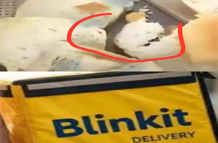 Blinkit से मंगाई ब्रेड निकली फफूंद लगी, वायरल वीडियो में स्टोर पहुंचकर ग्राहक ने की शिकायत