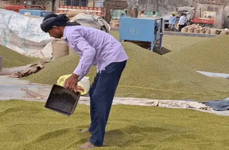 कानपुर देहात के किसानों को राहत, MSP पर उड़द-मूंग और मूंगफली खरीद के लिए 17 केंद्र मंजूर