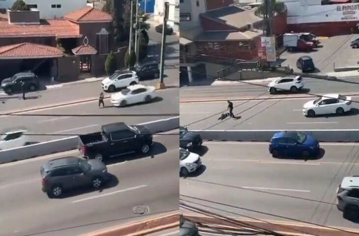 सड़क पार करते समय हुई हादसे की डरावनी घटना