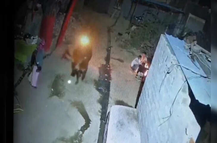 राजस्थान में बेजुबान जानवरों पर अत्याचार, तीन अलग-अलग घटनाओं से लोगों में आक्रोश