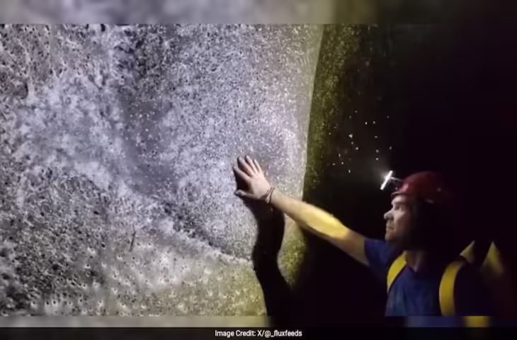 यहां मिला दुनिया का सबसे बड़ा मकड़ी का जाल, 1 लाख से ज्यादा जीवों का बना क​ब्रिस्तान