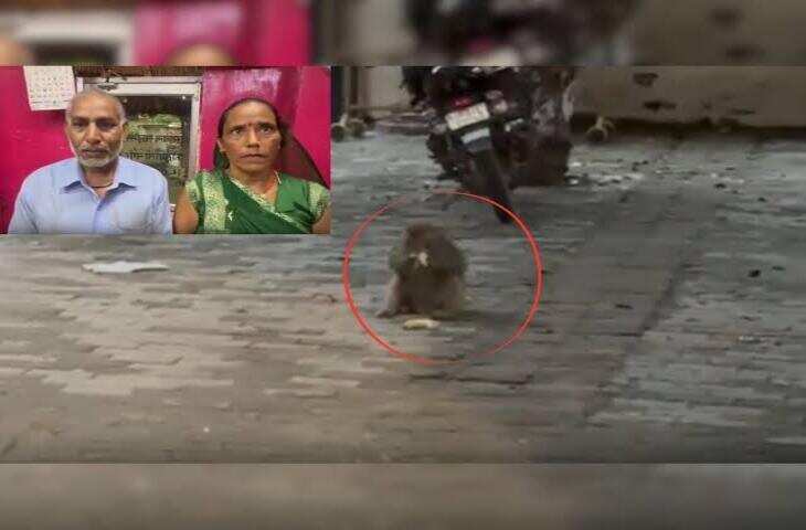 Monkey Viral Video: महिला के हाथ से ₹42 हजार ले उड़ा बंदर, पैसे वापस लेने में पुलिस की हालत हुई खराब