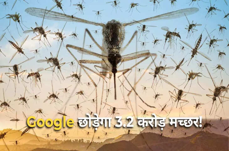 अमेरिका में 3.2 करोड़ मच्छरों को छोड़ने की इजाजत क्यों चाहता है Google? इस प्रोजेक्ट के पीछे का विज्ञान जान चौंक जाएंगे&nbsp;