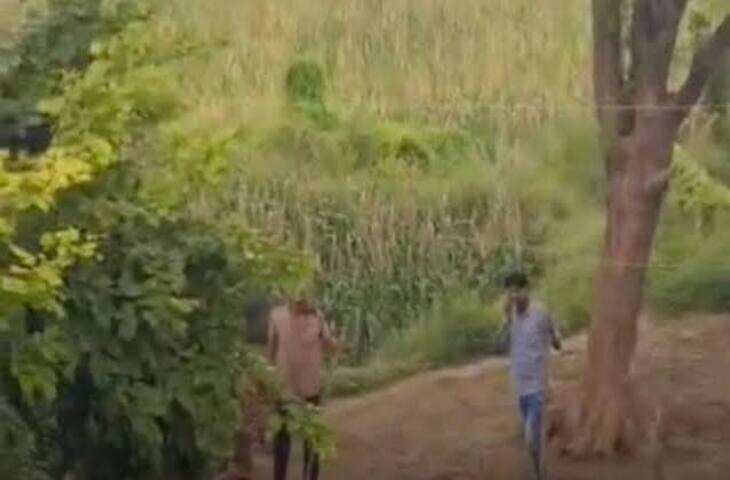 मुरैना के सिद्ध नगर में मकान विवाद: बुजुर्ग दंपती से मारपीट, वृद्धा की मौत; बेटे-बहू पर आरोप