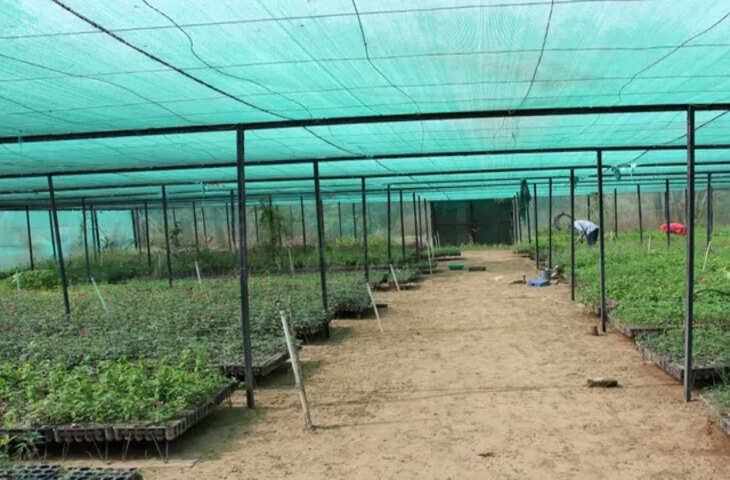 बिहार सरकार दे रही 5 लाख फ्री अनुदान: नर्सरी से कमाई और पर्यावरण की सुरक्षा, ऐसे करें आवेदन