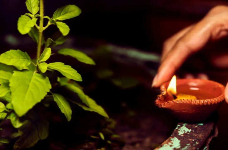 Vastu Tips: घर में किस दिन तुलसी का पौधा लगाना शुभ होता है? जानें कब नहीं लगाएं