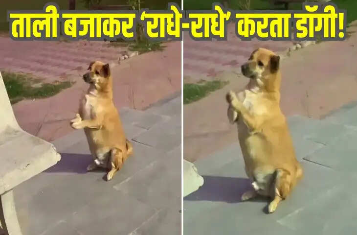 &lsquo;राधे-राधे&rsquo; सुनते ही डॉगी बजाने लगा ताली! Video ने इंटरनेट पर मचाया तहलका