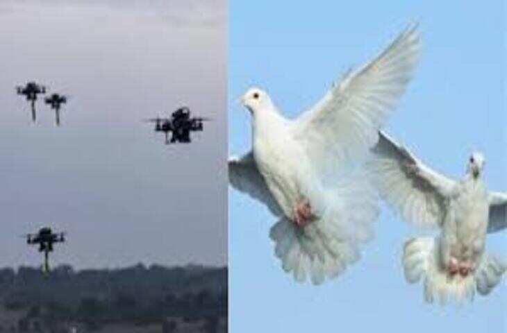 बड़े खतरनाक लोग हैं, मुर्गे को ड्रोन से बांध आकाश में उड़ाया- वीडियो देख भड़के यूजर्स