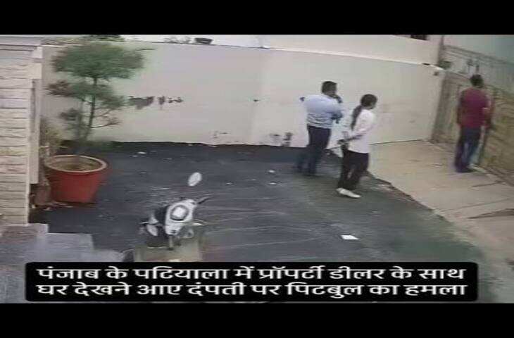 Viral CCTV Video: किराए का मकान देखने पहुंचे पति-पत्नी पर पिटबुल का खौफनाक हमला, अचानक मचा हड़कंप