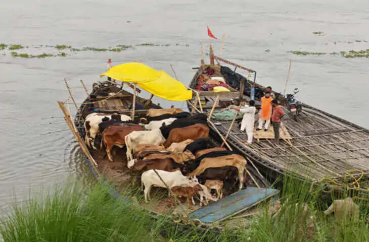 गाजीपुर में पशुओं से लदी दो नावें पकड़ीं, 50 किमी पीछा करने के बाद टक्कर; तस्कर गंगा में कूदकर फरार