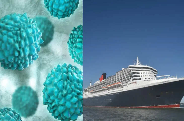 Cruise Ship Virus Outbreak: नोरोवायरस ने मचाई दहशत, 115 लोग अचानक बीमार पड़ने से हड़कंप