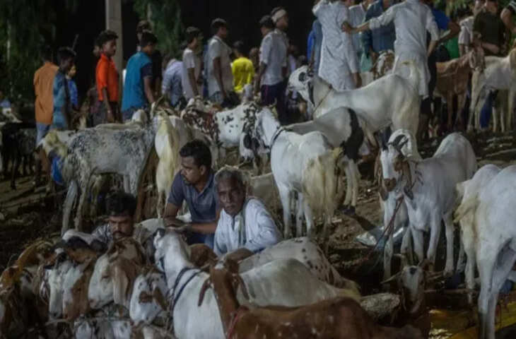 Eid Al Adha 2026: यूपी का ऐसा गांव जहां 19 साल से नहीं हुई कुर्बानी, बकरों की रखवाली करती है पुलिस