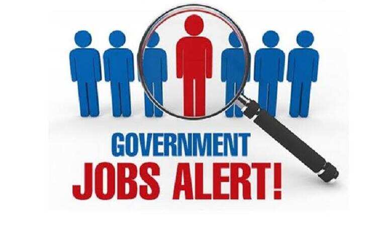Government Job Alert: राजस्थान में 24,752 सफाई कर्मचारी पदों पर भर्ती का मौका, आवेदन की आखिरी तारीख 13 अक्टूबर