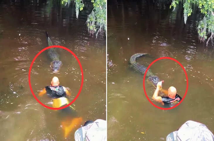 मगरमच्छ को खिलौने की तरह उठाकर फेंकने वाला VIDEO वायरल, देखकर यूजर्स बोले - 'बड़े जिगर वाला...'