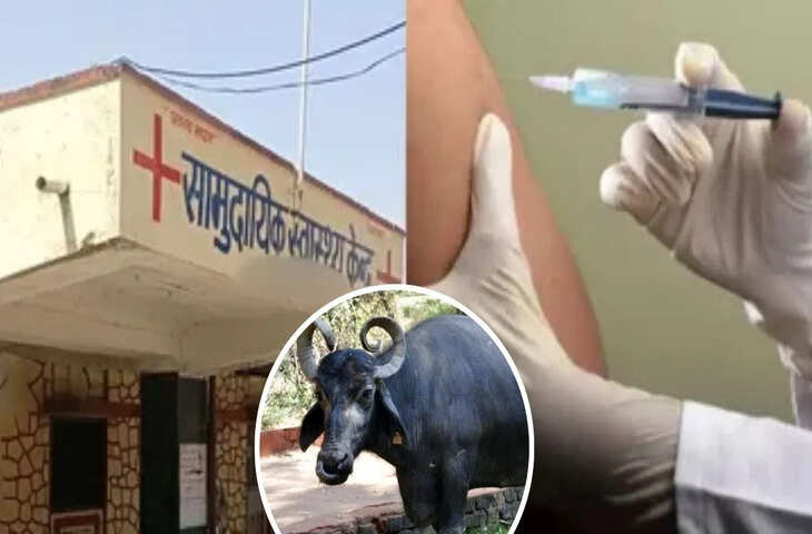 गोरखपुर में रैबीज का खौफ: संक्रमित भैंस का दूध पीने के बाद 30 लोग पहुंचे टीकाकरण केंद्र