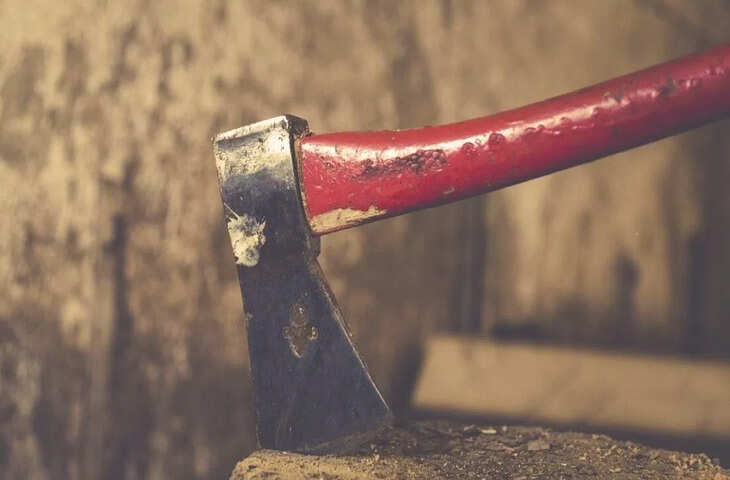 &lsquo;इतनी रोक-टोक पसंद नहीं&rsquo; पति प्रेमी से मिलने नहीं देता था, प्यार में पागल पत्नी ने कुल्हाड़ी से काटा