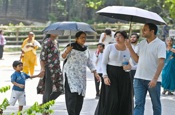 दिल्ली में भीषण गर्मी का कहर: कई इलाकों में तापमान 45&deg;C पार, सीजन का सबसे गर्म दिन दर्ज