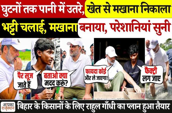 किसानों के बीच पहुंचे राहुल गांधी! घुटनों तक पानी में उतरकर निकाला मखाना, वीडियो में किसानो से पुछा उत्पादन और मुनाफे का गणित&nbsp;